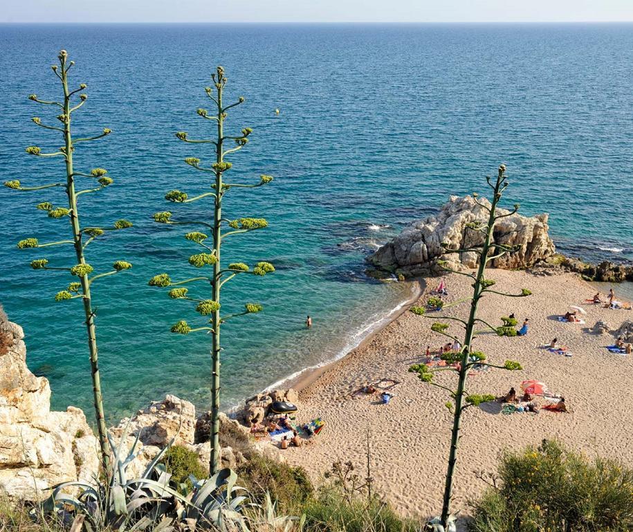 Raco D'En Pepe Hotel Calella Bagian luar foto